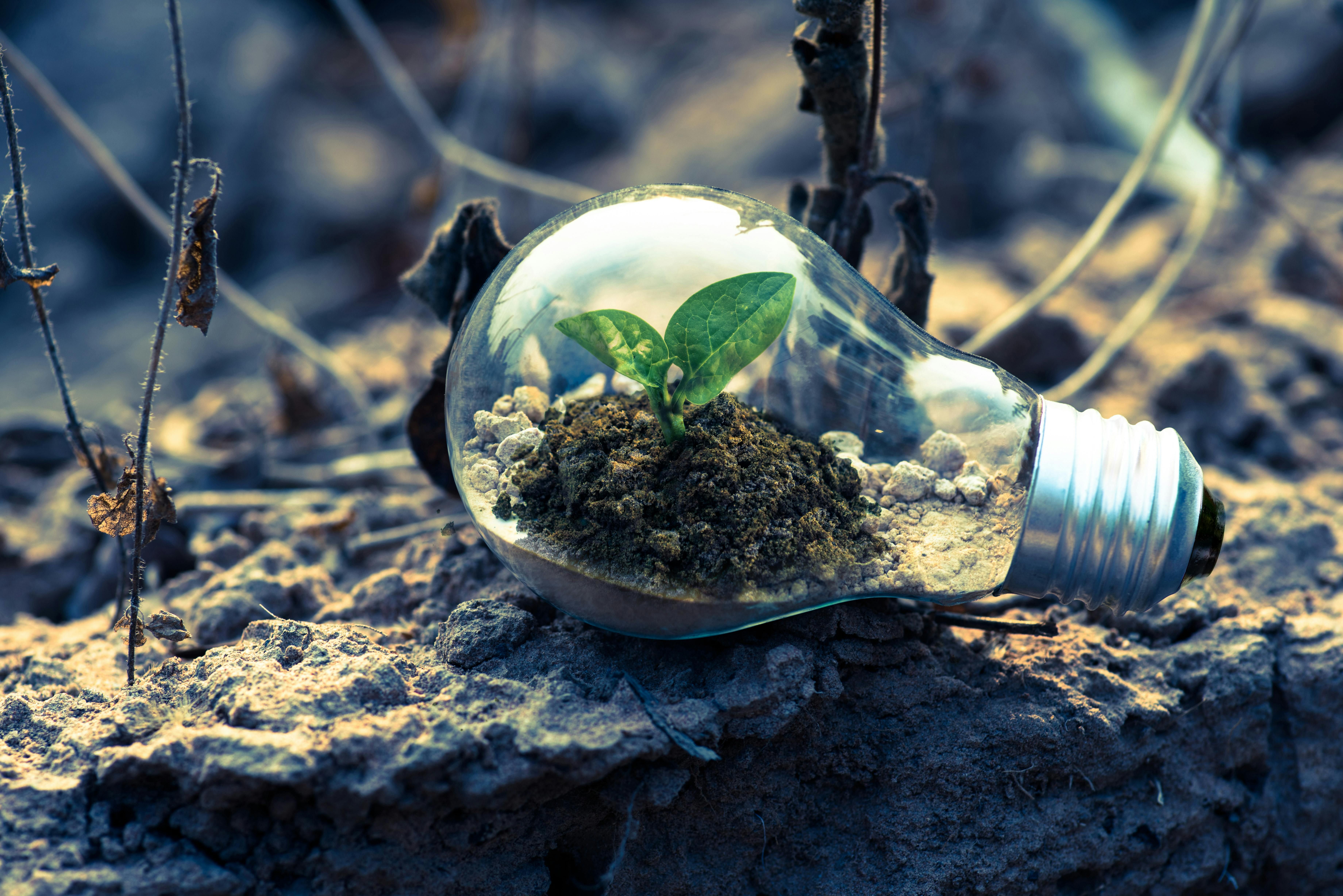 How to create a credible, Science-Based Carbon Reduction Plan