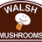 Walsh Mushrooms