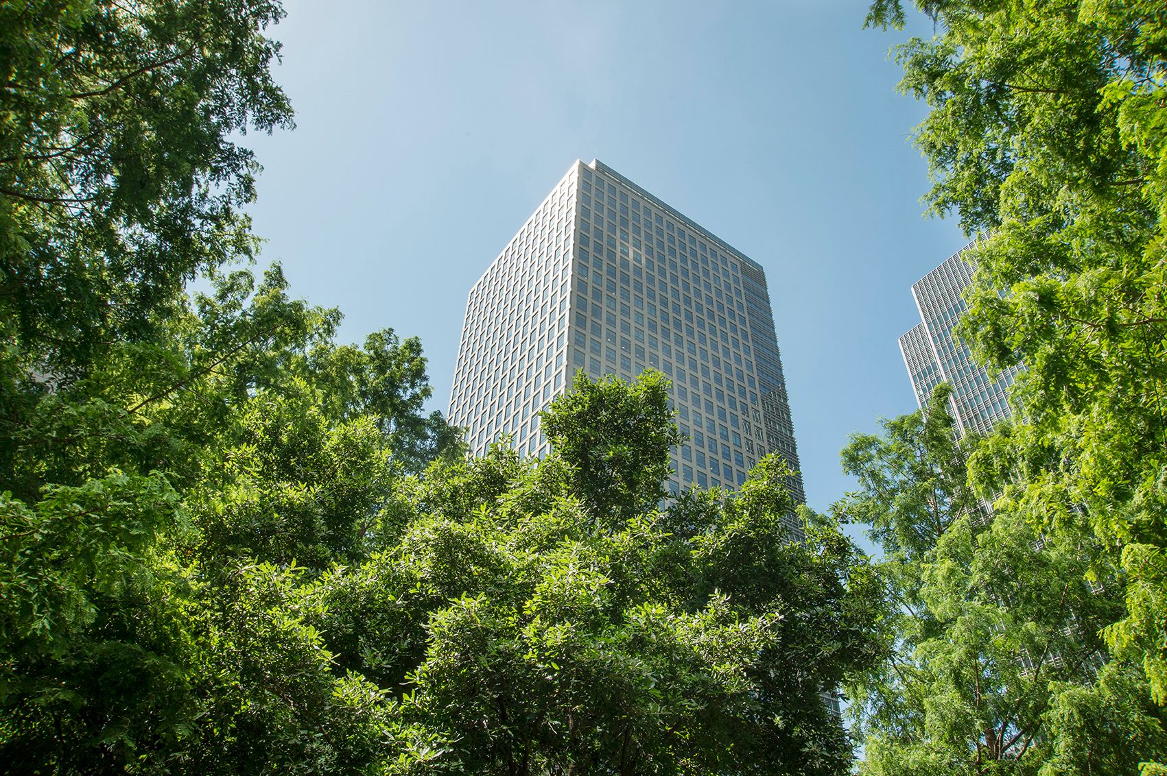 Sustainability Compliance: Which Standards Should Manufacturers Prioritise?